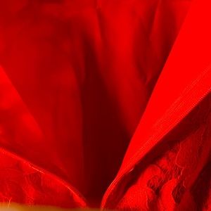 P&Y New York Woman’s Dress